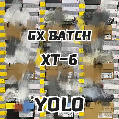 Salomon GX XT-6 Link 2