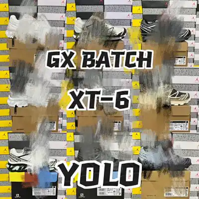 Salomon GX XT-6 Link 1